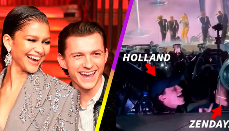 Tom Holland Y Zendaya Fueron Captados Cantando Juntos En Concierto De