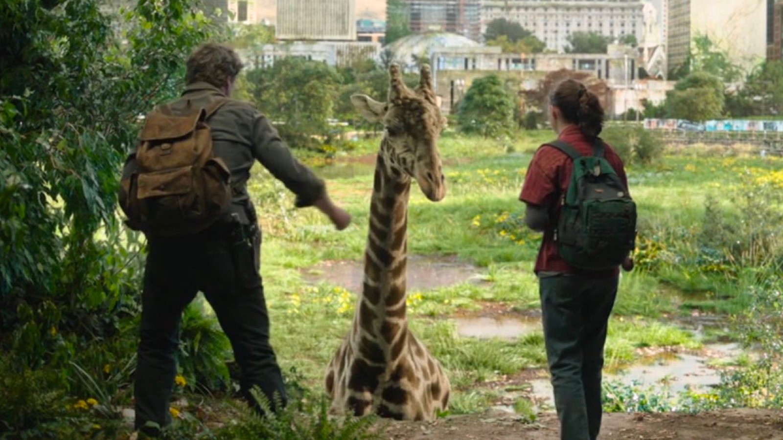 the-last-of-us-giraffes-scene | Cinescape