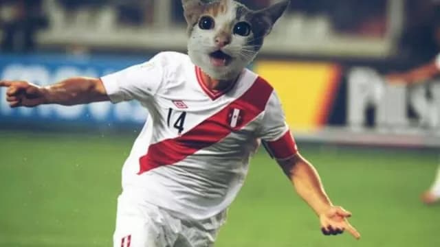 Memes del Perú vs. Venezuela por la Copa América 2015 (Internet)-foto-2