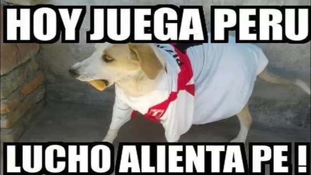 Memes del Perú vs. Venezuela por la Copa América 2015 (Internet)-foto-6