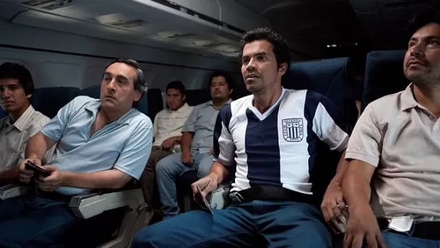 Fotos: Zugeily Merino-foto-2