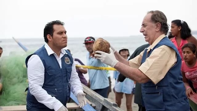 Fotos: Zugeily Merino-foto-4