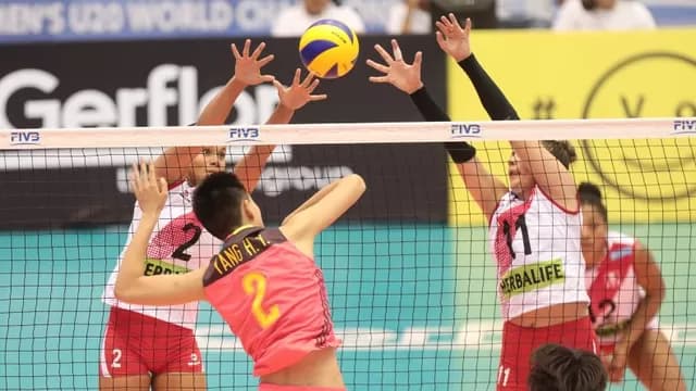 Foto: ITEA Photo-foto-3